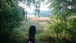 runtastic2015-07-18_19_29_38
